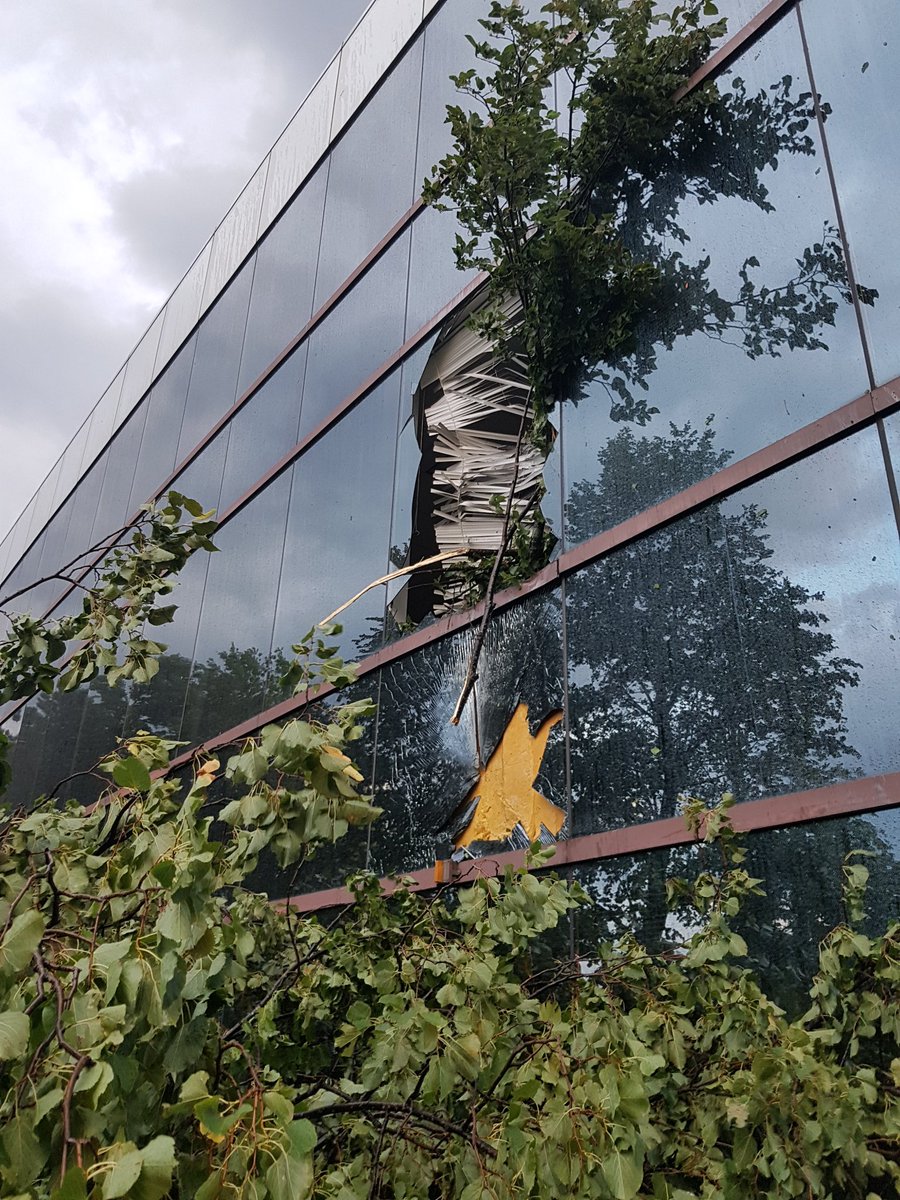 argen_can's tweet photo. #Tornado in #Ottawa killed trees and damaged building at work https://t.co/nGb9VxJZjT
