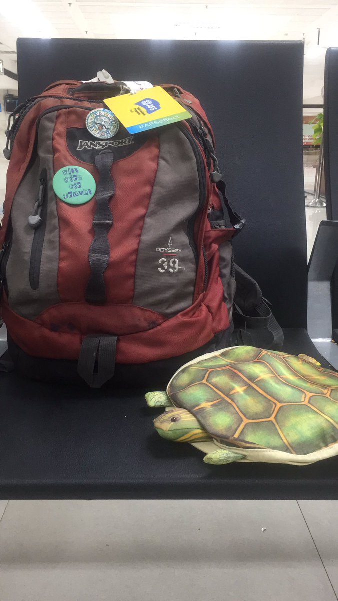 saravananraj95's tweet photo. The turtle is ready to fly. #chennai #turtlehat #afsindia #KLYES #YESAlumni #KLYES15 #afseffect #afsegypt #afs https://t.co/aM3NMRMdfm