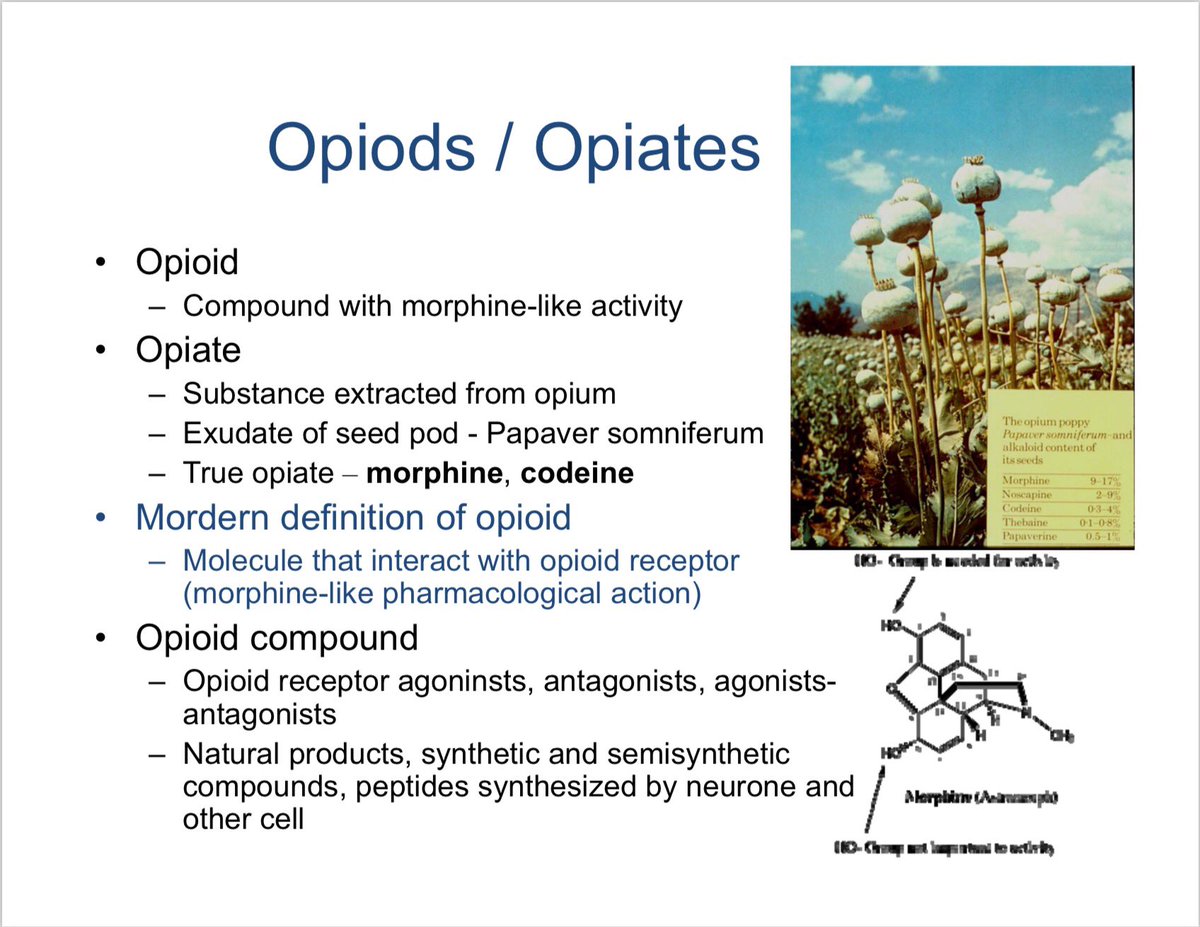 Opiate meaning