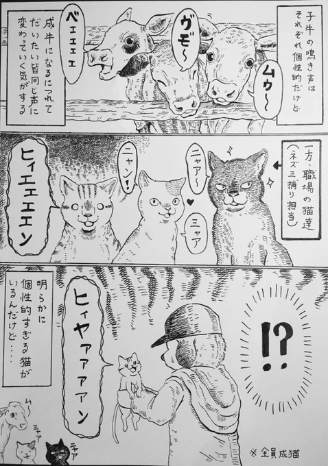 自分は畜産研修センターで牛の事を学びましたが

「猫」という生き物については、これまでの人生で何も学んでこなかったのです?

この世で最も得体の知れない生き物は猫だと思っています?

#日常 #猫 #漫画 #らくがき 