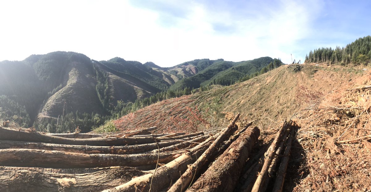 MarieB41's tweet photo. I love #ORag & the people who make our farms & forests great! Great tour today exploring both in South #LaneCounty #ORForests https://t.co/2htamtqsAI