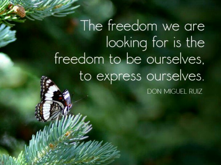 dompayters's tweet photo. Expression is an epitome of FREEDOM 👊☝

#FreedomPaMore https://t.co/aoBp5bLHQm