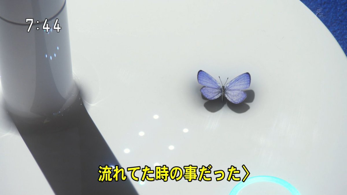 わび さび ちなみに青い蝶 ユリシス 豪州のケアンズなどに生息 幸せの青い蝶 不吉に飛んで 逝く きれいな蝶々と 演出であり創作だから ユリシスに寄せた可能性あり ただ 小宮 浅葱 裕子であって 百合 ゆり でなかった 青い蝶 端が黒い わび さび ちなみに青い蝶 ユリシス 豪州のケアンズなどに生息 幸せの青い蝶 不吉に飛んで 逝く きれいな蝶々と 演出であり創作だから ユリシスに寄せた可能性あり ただ 小宮 浅葱 裕子であって 百合 ゆり でなかった 青い蝶 端が黒い