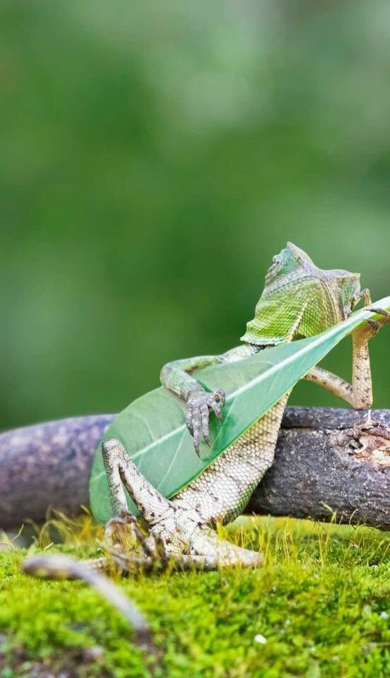 WETAKEOFF tweet media