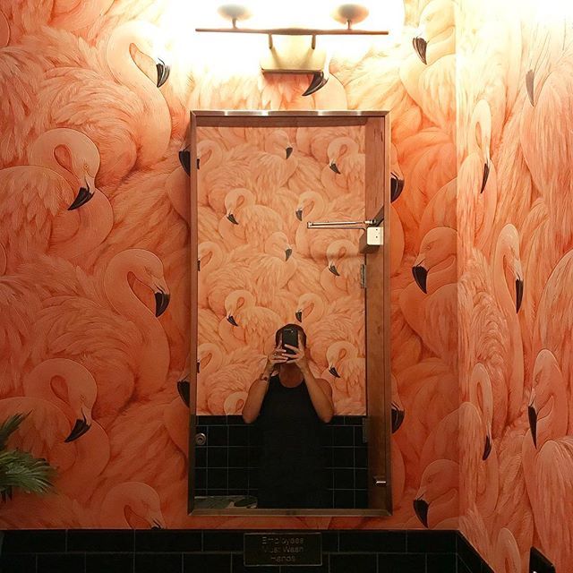 younghouselove's tweet image. HAPPY FLAMINGO FRIDAY, FOOLS! (from this restaurant bathroom) #KeepingItClassy ift.tt/2xyqHU5