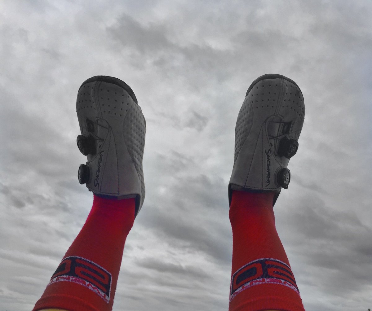 steph roorda tweet media