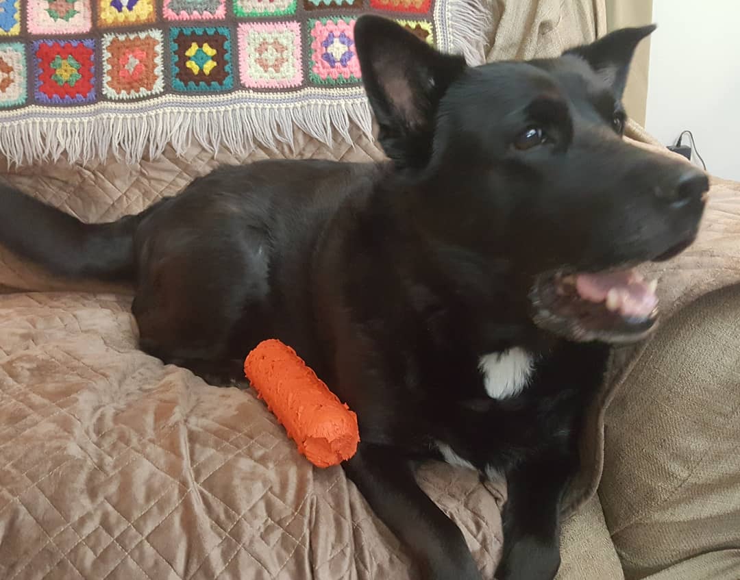 SageyGirlReview's tweet photo. I am so impressed with how well this cover protects our furniture and clothes from dog fur, and it's comfy too!
Read my review--->
https://t.co/54D6bZdHGz
Find it here-->
https://t.co/HfGSj9niVb
.
.
#INNX #LOVESEATCOVER #SOFASLIPCOVER #sponsored #gotadiscount #pets https://t.co/QSnyDnKic7