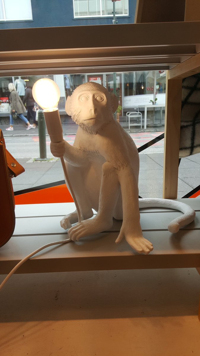 Monkey Spotting tweet media