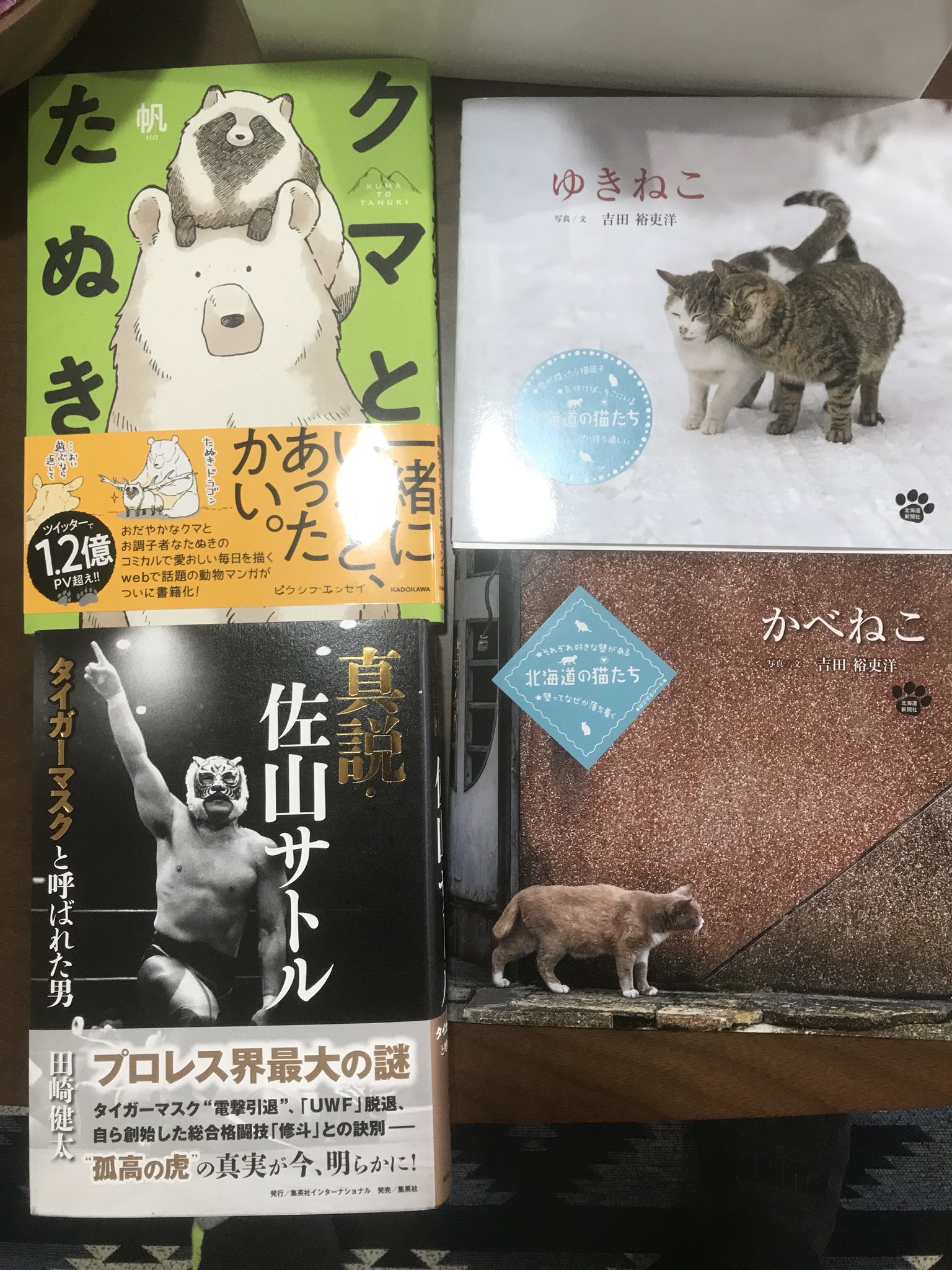 かべねこ Twitter Search Twitter