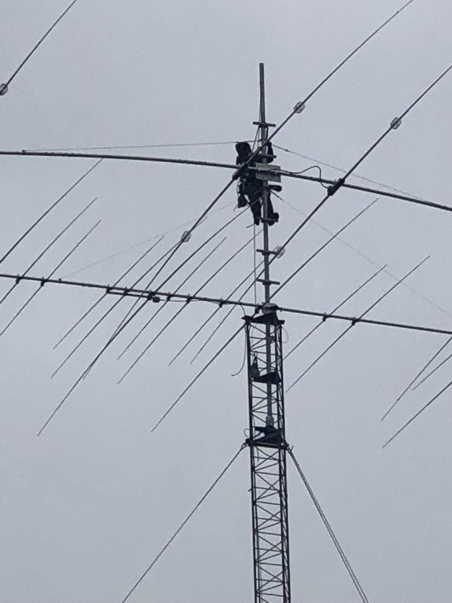 BeloudUs's tweet photo. #HamRadio antenna porn.  #CW #DXing #HFContesting https://t.co/bIq0hvr12o