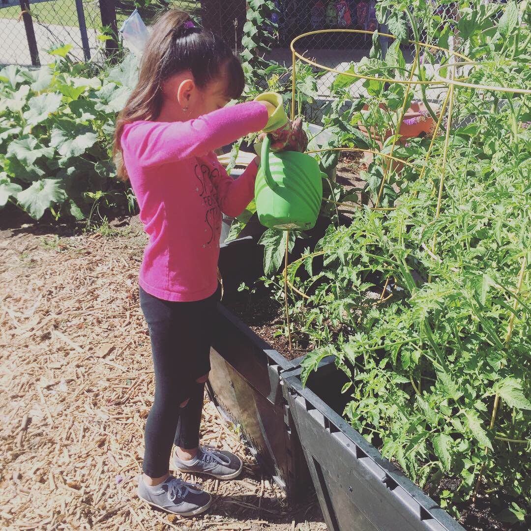 ParksKinder's tweet photo. Garden Day! @LaPalomaElem @FUESDSchools https://t.co/7YwsdUqPVg