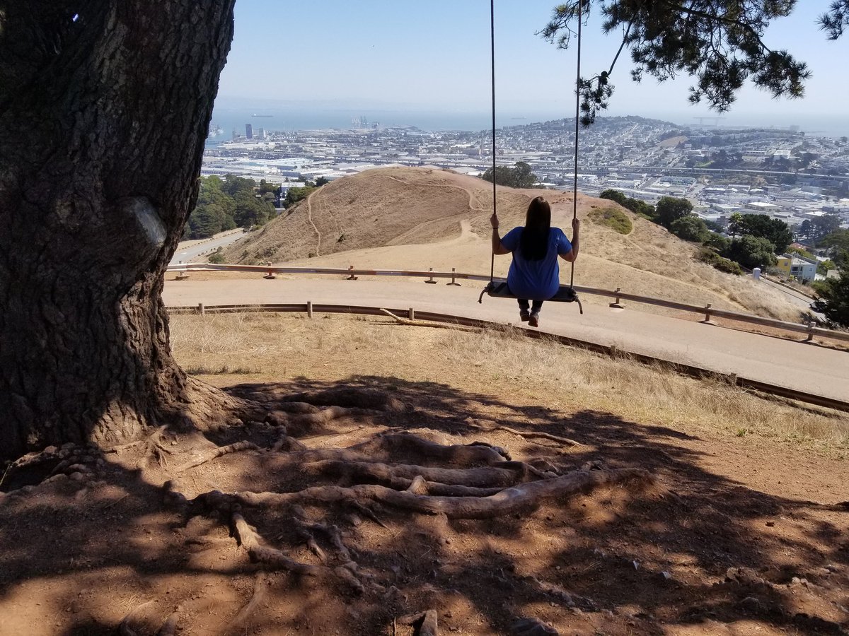 amybhutch's tweet photo. No lyric for this one but I get why you love it here. This place has been incredible! Thanks for the tour through your city, @mattnathanson #Honeymoon #LastDaysofSummerInSanFrancisco #ITookTheMattTourAroundSanFrancisco https://t.co/lQ94KyNxj1