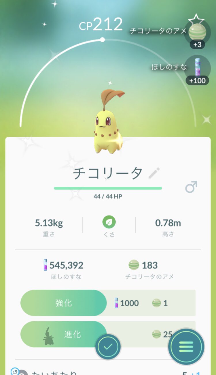 画像 コミュニティデイ早速チコリータの色違い来たー ポケモンgo T Co 0zqytnkhwl まとめダネ 画像 コミュニティデイ早速チコリータの色違い来たー ポケモンgo T Co 0zqytnkhwl まとめダネ