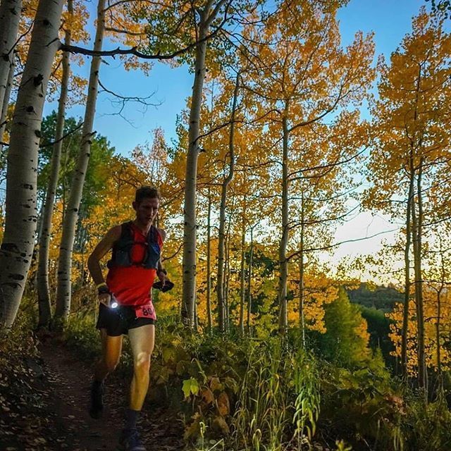 Run Rabbit Run 100 tweet media