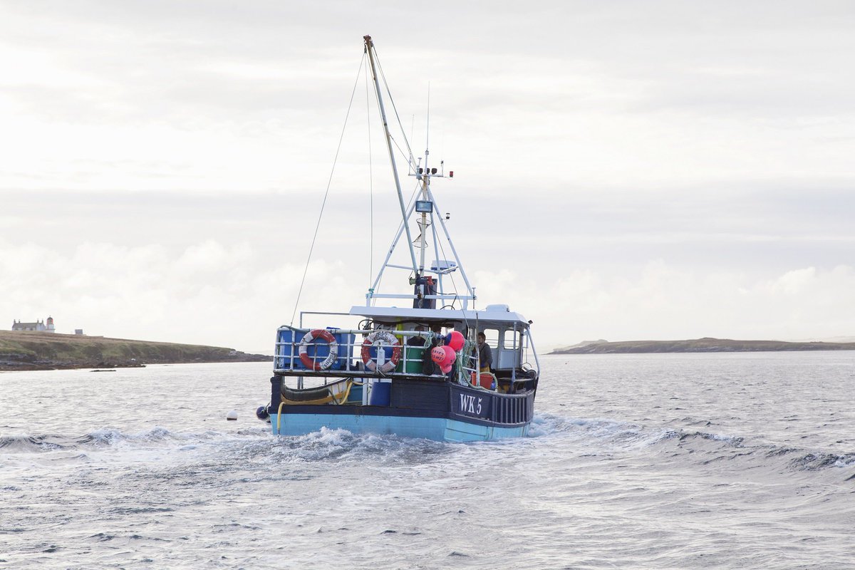 Seafood From Scotland tweet media