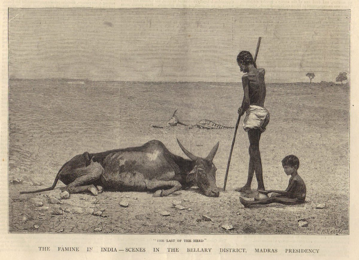aanaswami1's tweet photo. British enforced famine in India which killed a million..... and now you say we are cruel to our elephants! ๐
#AWnotAR
#CaptivityDoesntKill
#ExtinctionKills
@your_moo
@vishnu91vnmy @FollowingIndian https://t.co/b1elzgVrsa