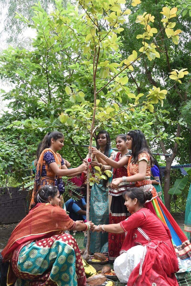 ArtistBlandine's tweet photo. An Amazing documentary about Piplantri village #India  #111Trees #Girls #MyInspiration for my ongoing installation since 2014 - had the pleasure to chat with these guys &amp; I was completely taken by their commitment to this community 
#SistersOfTrees https://t.co/I8zpP0qGvh https://t.co/Tt6GERb160