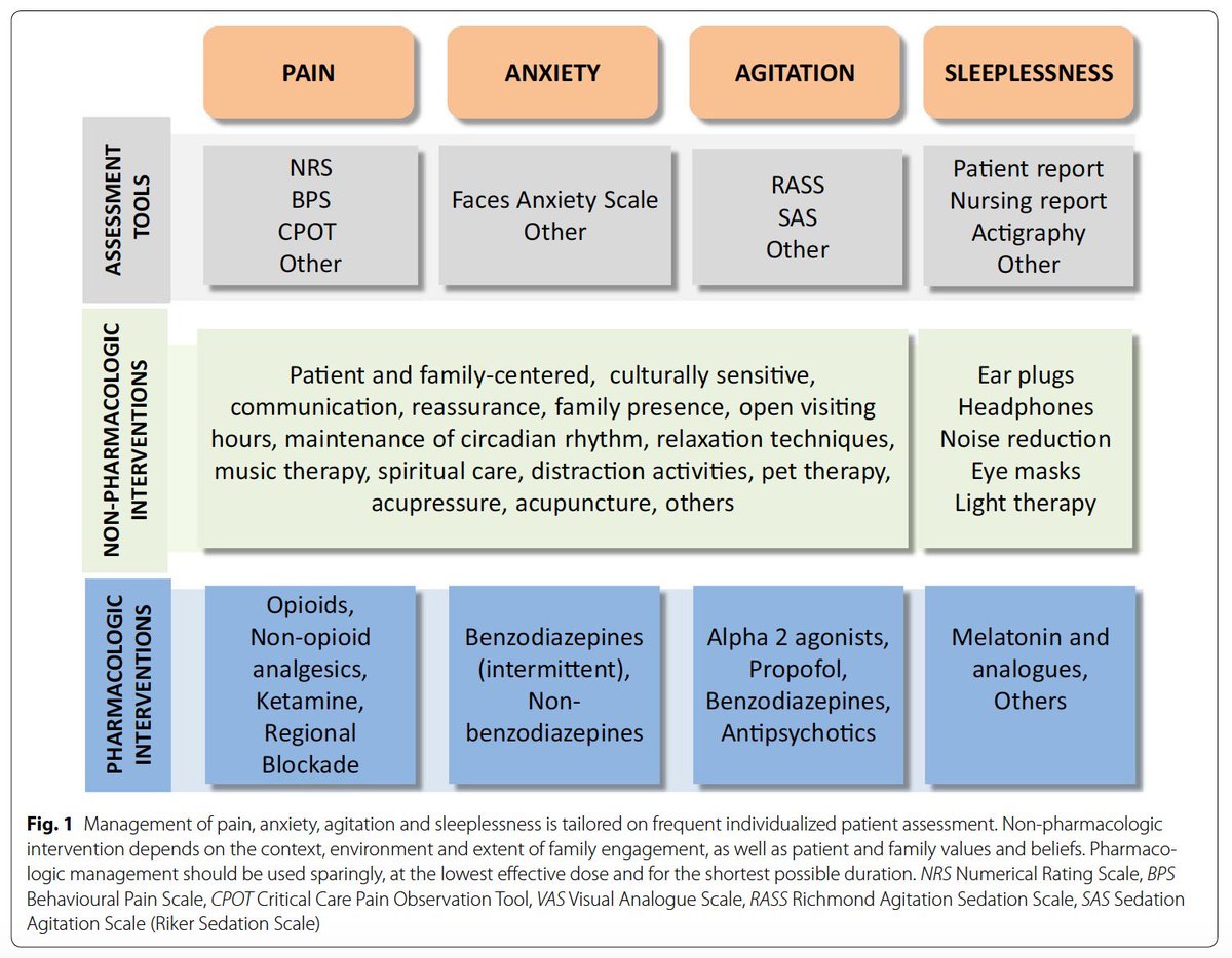Adamantia Aretha (@adamantiaaretha) on Twitter photo 