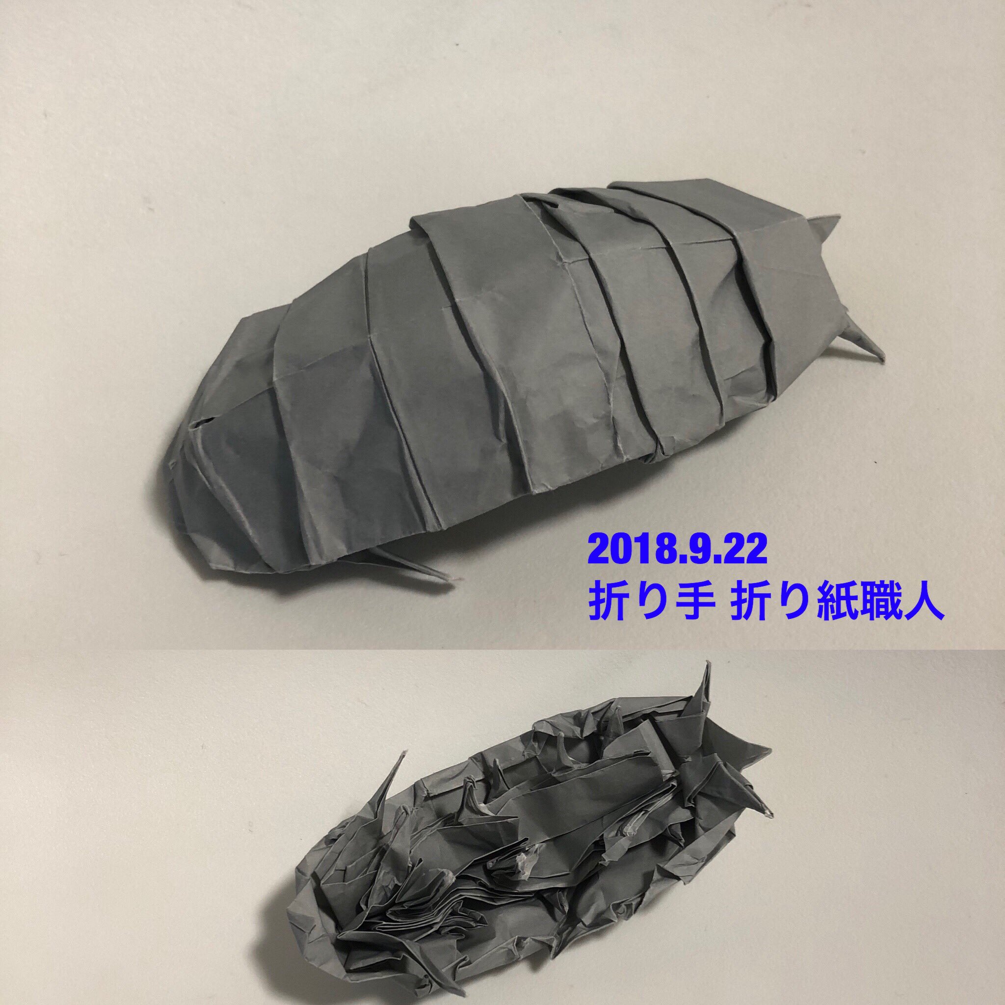 折り紙職人 ダンゴムシ ロバートjラング氏創作 Pill Bug Robert J Lang おりがみはうす刊 折紙図鑑 昆虫2 より ダンゴムシガチャは未だに売り切れ続出 で ダンゴムシ折り図あるじゃん で折りました ダンゴムシ ダンゴムシガチャ