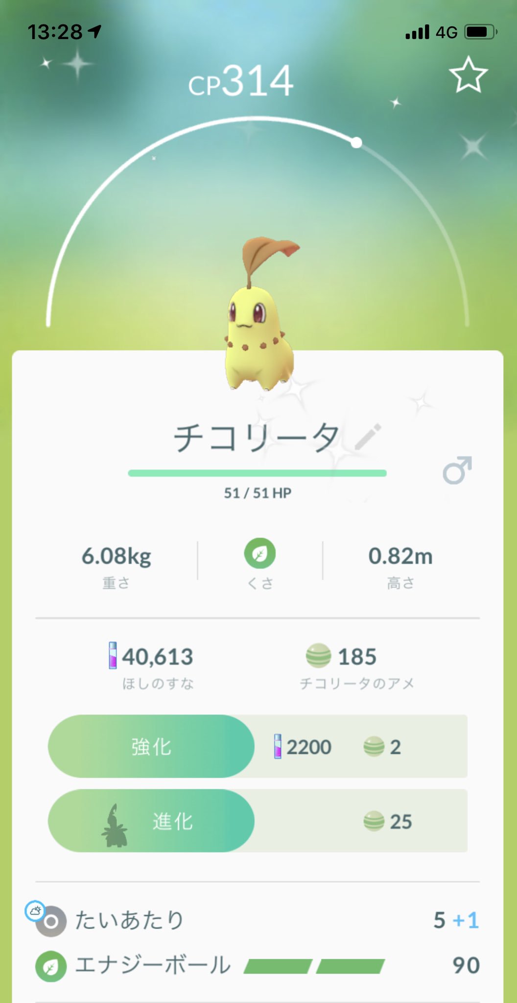 Tomo A Tuwita ポケモンgo 色違いチコリータ捕まえた 早速色違いメガリーフに進化させた T Co Mrcsglpry3 Tuwita Tomo A Tuwita ポケモンgo 色違いチコリータ捕まえた 早速色違いメガリーフに進化させた T Co Mrcsglpry3 Tuwita