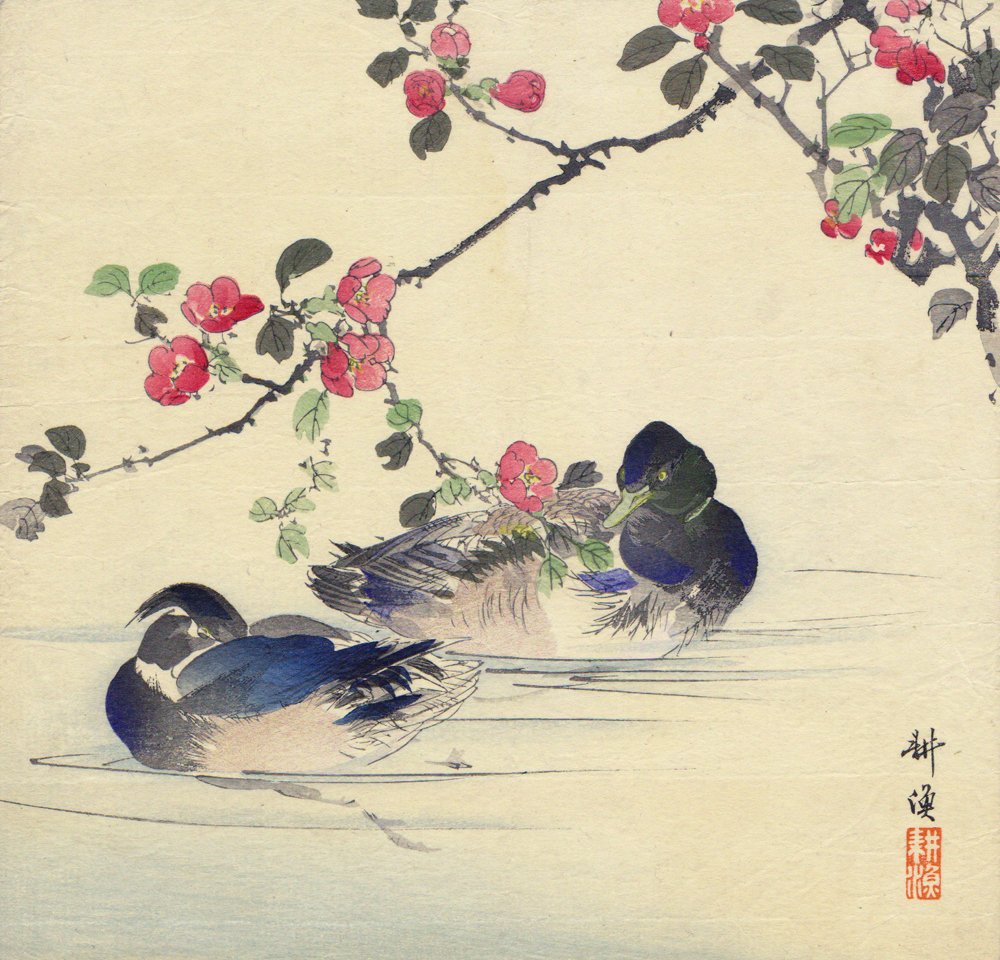 Tsukioka Kōgyo (月岡 耕漁), sometimes called Sakamaki Kōgyo (坂巻 耕漁), (April 18, 1869 – February 25, 1927) was a Japanese artist of the Meiji period.
He was a student and adopted son of Tsukioka Yoshitoshi, and also studied with Ogata Gekkō.
♫【[木瓜に水禽図]】♫