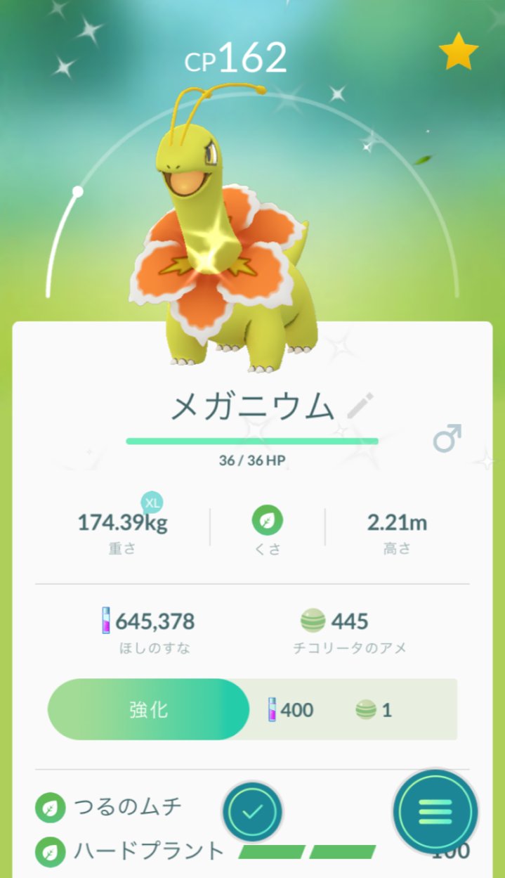 Motty 11 13ニコニコ町会議出演 チコリータ のコミュニティデイ行ってきたぜ 色違いは110匹中2匹でまあまあだったけど 片方が最高評価個体 やったぜ 15時までにしっかり進化させておかないとハードプラント覚えないから気を付けて ﾁ ｺｯ ﾁ ｺｯ