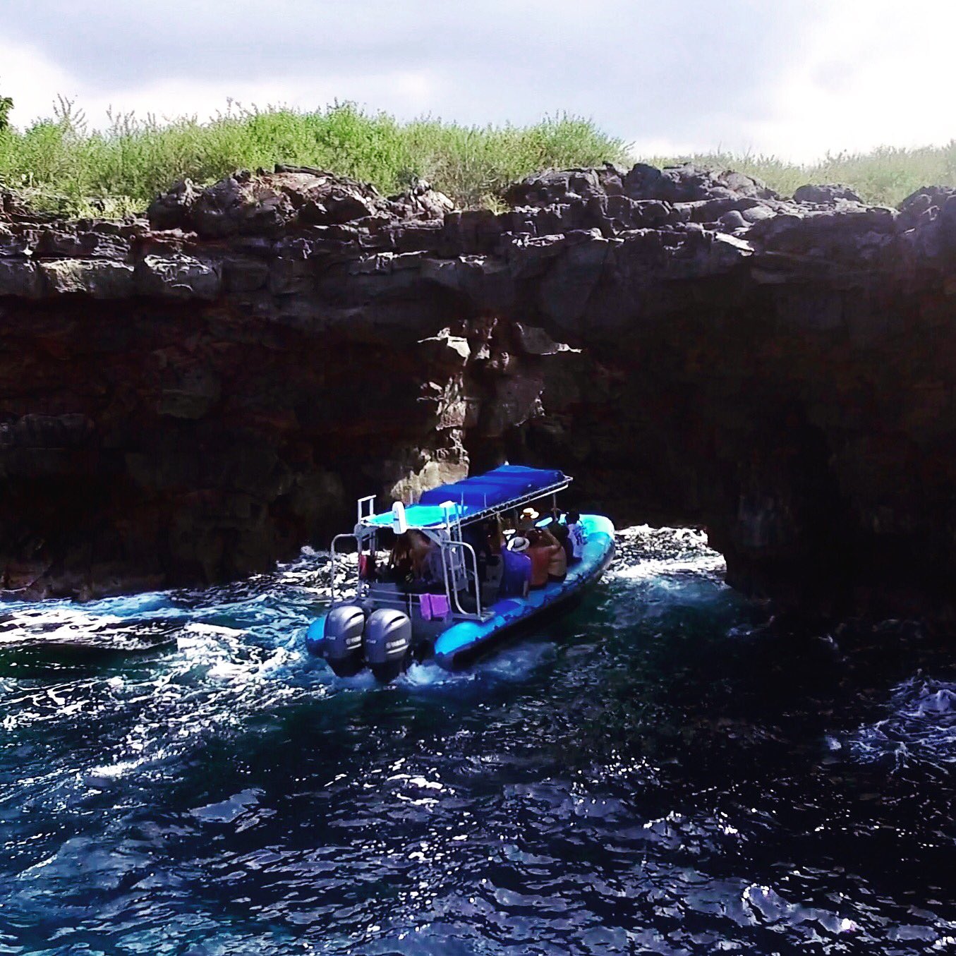 Sea Quest Hawaii on Twitter "We’ve been exploring every inch of this