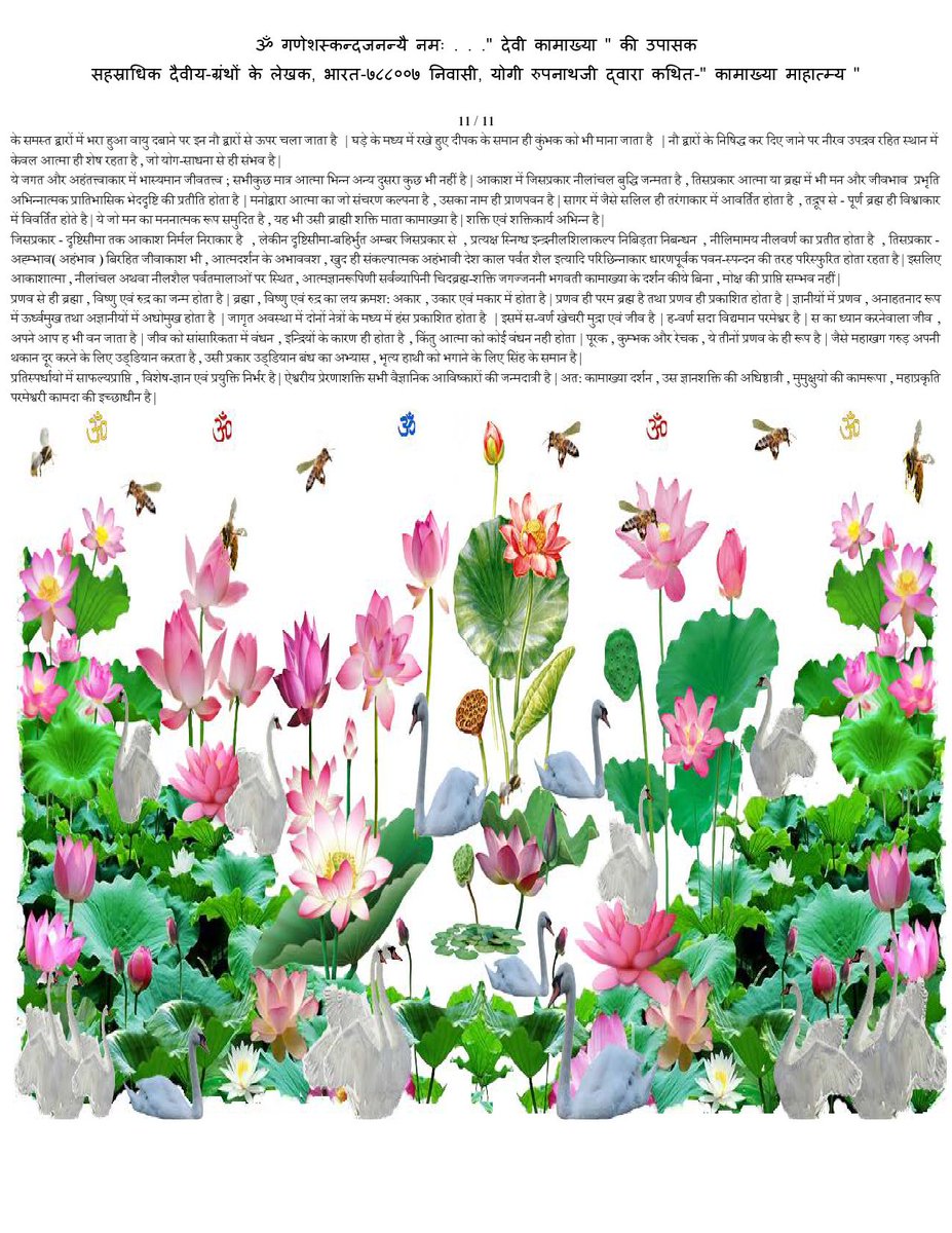 NatarajarTemple's tweet photo. https://t.co/VNvlQX7PUP