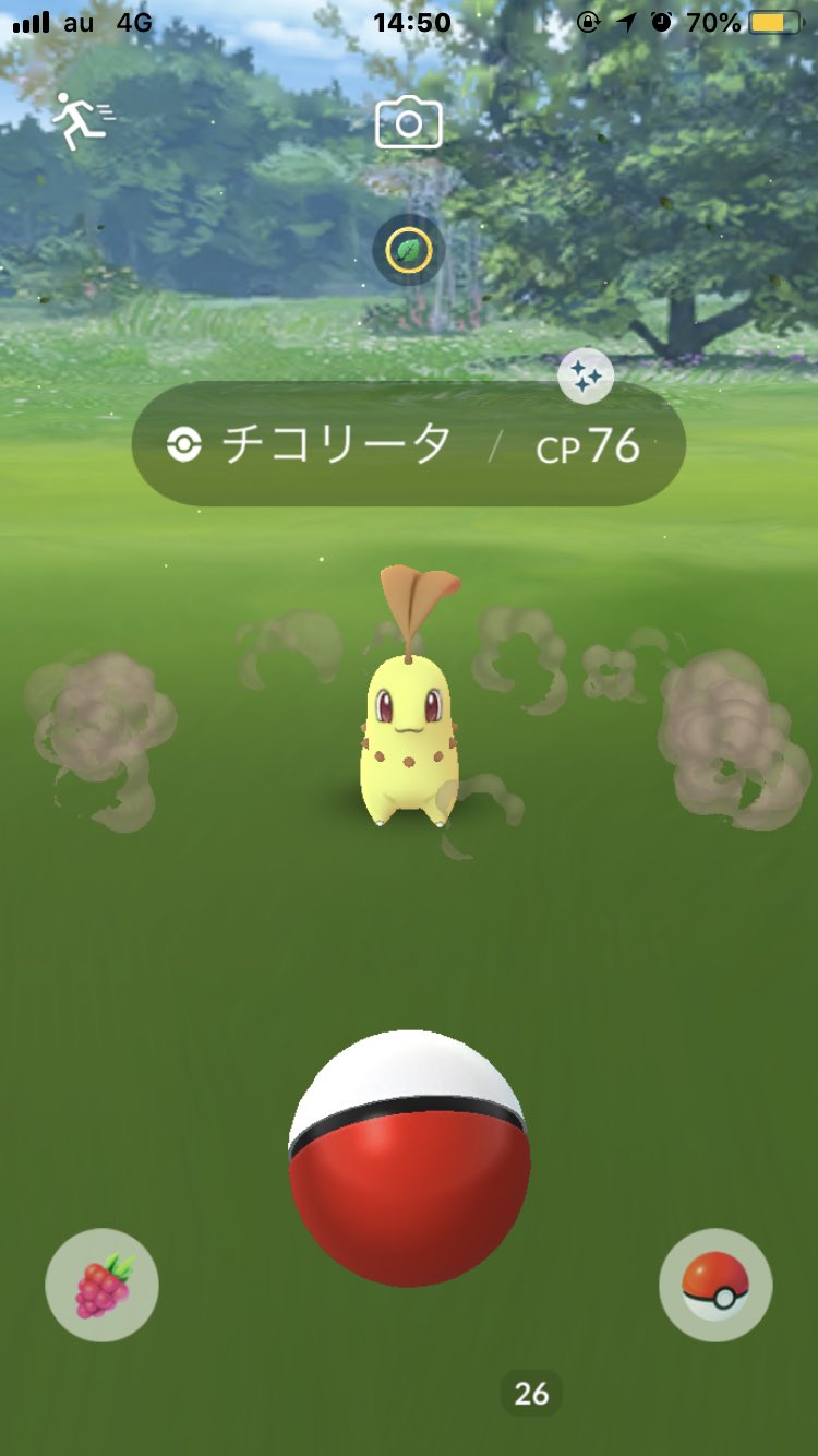 紅月メゼナ 趣味垢 よっしゃあああああ 諦めそうになったけど なんとかギリギリで色違いチコリータ ベイリーフ メガニウムに進化出来ました O ﾟ ﾟ O Pm3時までに間に合って良かった ポケモンgo 色違いチコリータ 色違いベイリーフ