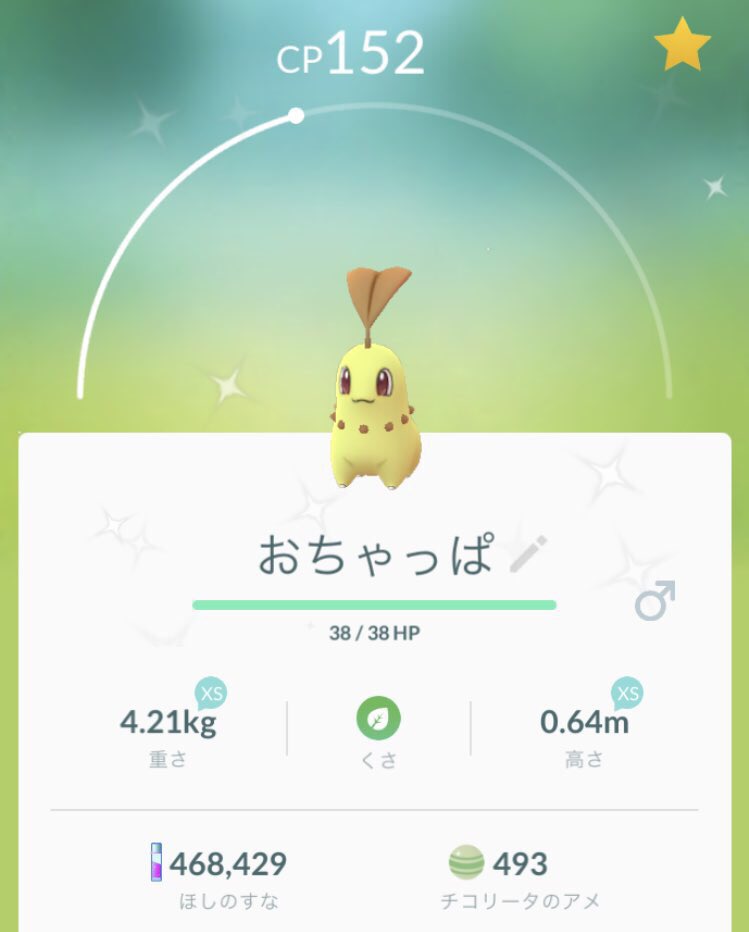 レトルト 何このポケモン 新ポケモンなのかバグなのか とりあえずちょっと怖い