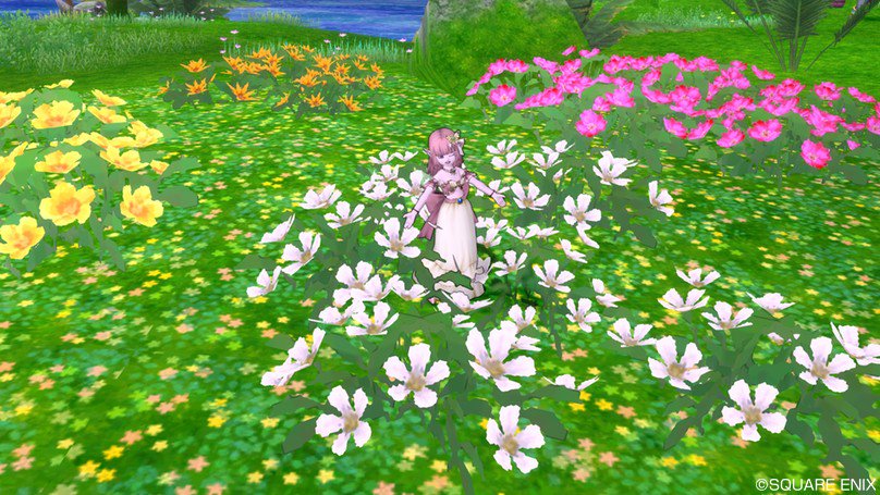 ゆり Dq10 11etc Pa Twitter 水の領界着いたらお花畑でテンション上がりましたw Dq10 ゆり Dq10 11etc Pa Twitter 水の領界着いたらお花畑でテンション上がりましたw Dq10