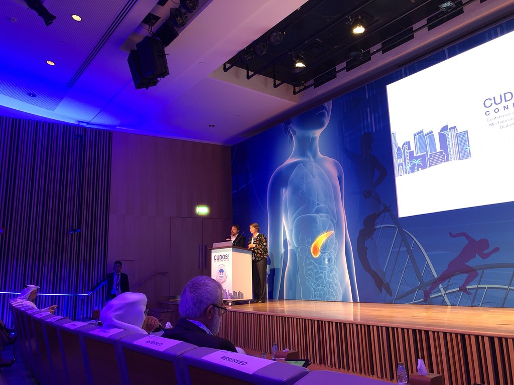 AnandHardikar's tweet image. @QatarBiobank  @maspenno presentation by Prof Jenny Couper on #endiastudy, at the #CUDOS2018. Possibility to replicate this with the Qatar Birth cohort??