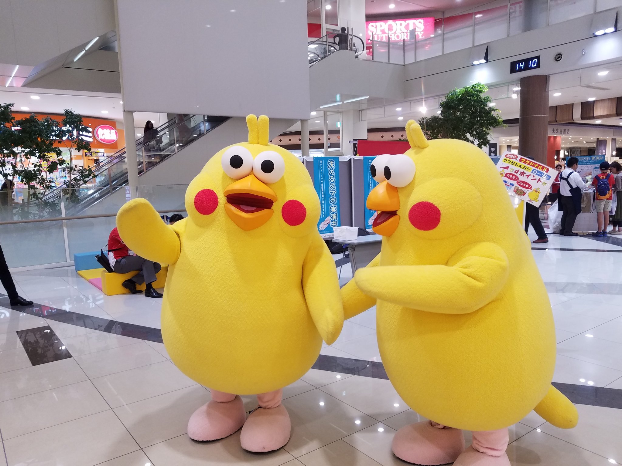 安眠 Pa Twitter Aeonに行ったら ポインコ兄弟いたーーー 可愛い 可愛い 可愛すぎ 弟の足は何が付いてるのかしら 笑 ポインコ ポインコ兄弟 T Co 3qsblek5qd Twitter