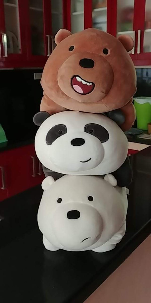 PoultryGeist300's tweet photo. #Miniso #Webearbares @threebarebears why are they so ADORABLE?? https://t.co/3eOphLwCUe