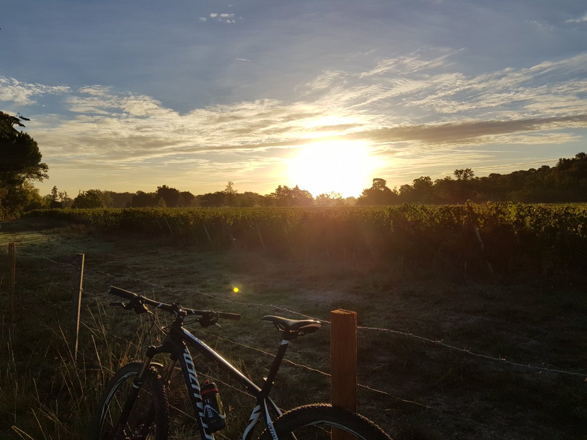 Y a pas photo prendre le vélo pour aller au travail que du plaisir 👍#Semainedelamobilité vigne picque caillou magique!!! poke @lolo_ollivier @soairis