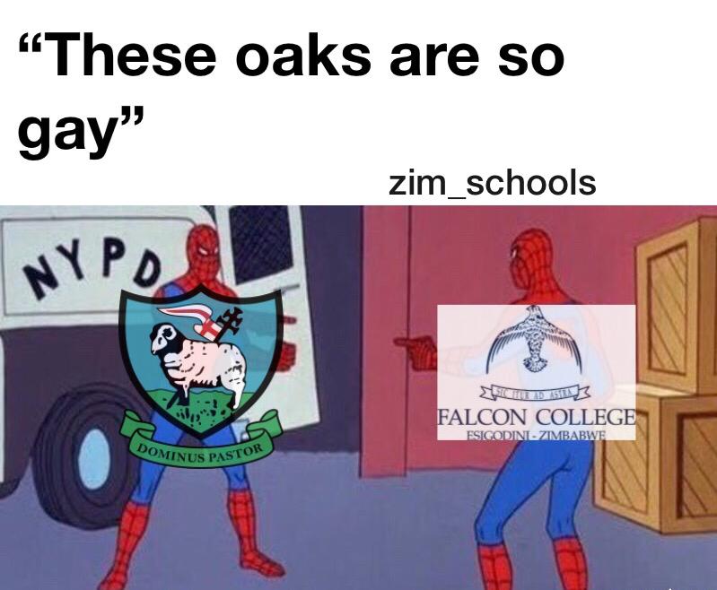 SchoolsZim's tweet photo. Who wore it better? 🤷🏼‍♂️😂😂 #🏳️‍🌈
#MoreToCome #HaGayy #OnlyBanter #DontCatchFeels https://t.co/1Q8nd1yktj