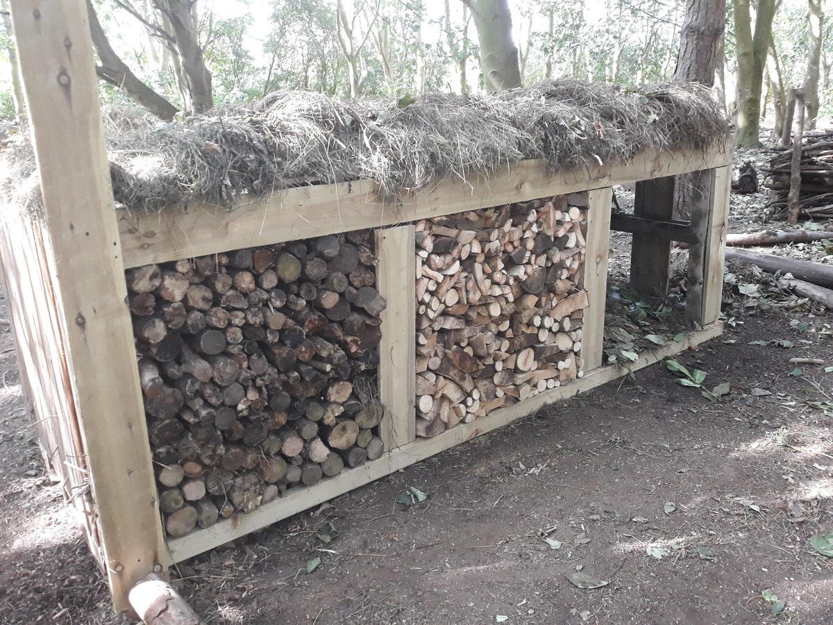 ecocentrepaul's tweet photo. A couple of shots showing some of the progress on the Minibeast Mansion this week. Still a way to go but it's coming on slowly. 25 cubic metres here we come!!! @Travcini
#minibeastmansion #ecoskegness #lovelifeinthewoods  #loveyourjob #autumndays🍁 https://t.co/a4aYv9Wtjl