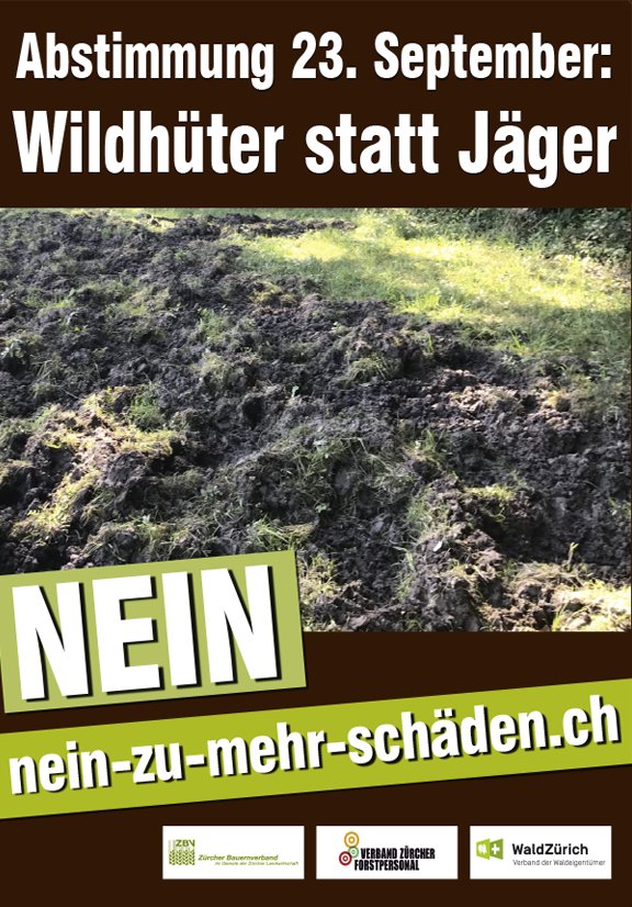 leafpolitics's tweet photo. Wenn jmd. Schäden verursacht dann wohl der Mensch und nicht die Wildscheine. Die Spuren der Forstmaschinen auf dem zweiten Bild sind wohl einiges heftiger als die natürlichen Pflügmaschinen. Hegen und pflegen kostet Geld! Der Wald ist keine Ausbeutungszone! https://t.co/bCYgMVtv8X