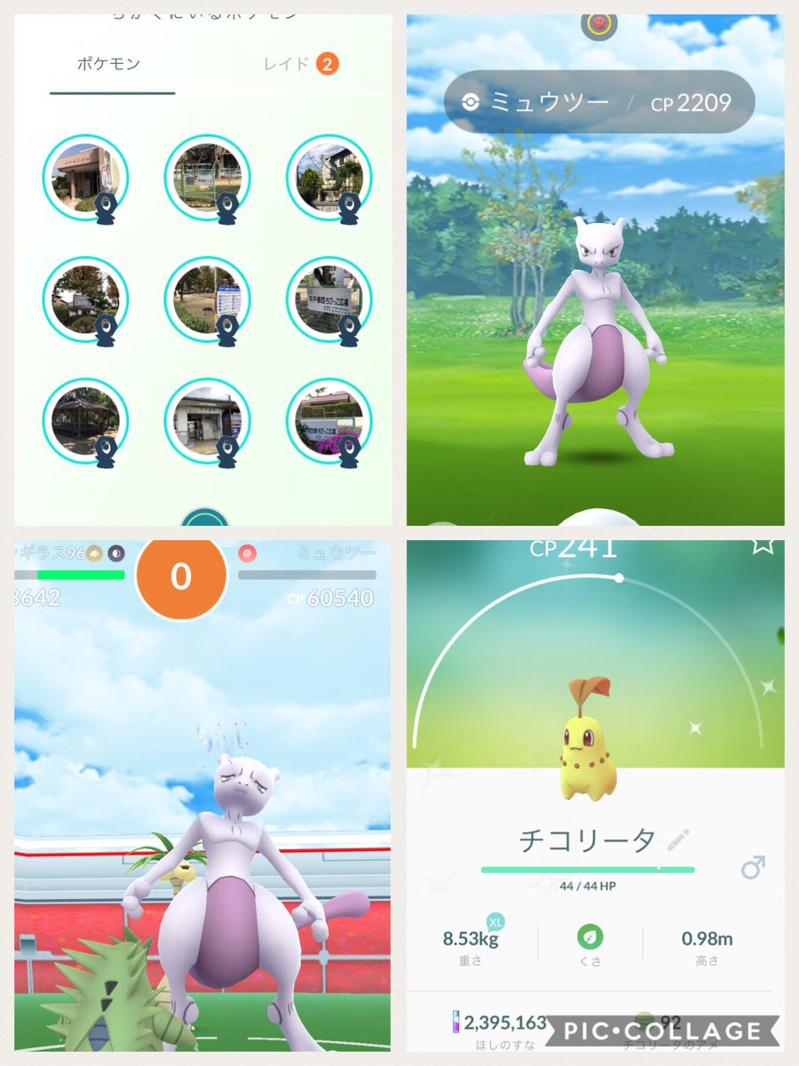 メタモン突然変異