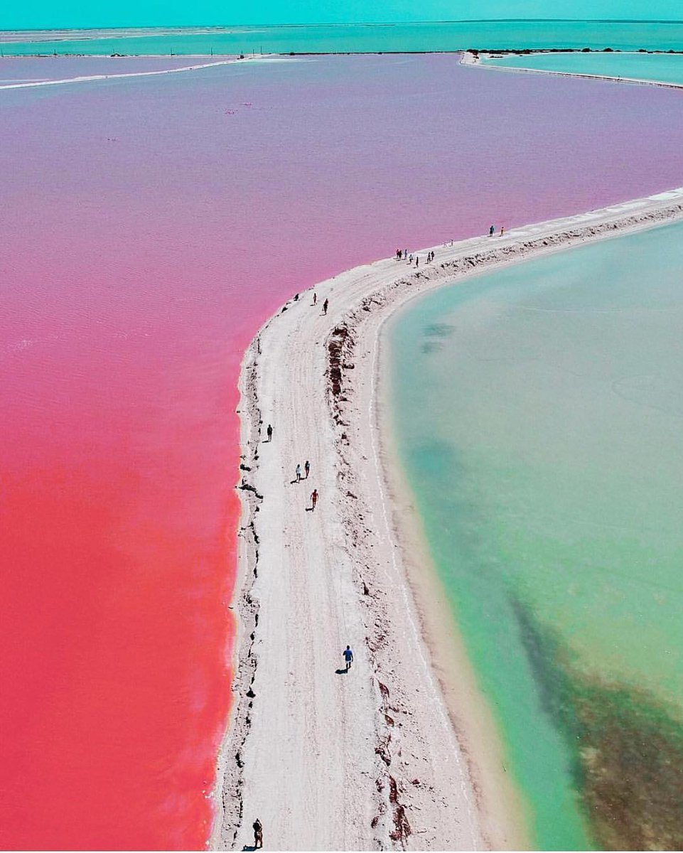 bspiller22's tweet photo. #Pink #Sea in #Yucatan , #Mexico 

#travel #sightseeing https://t.co/JqCDuFSGdP