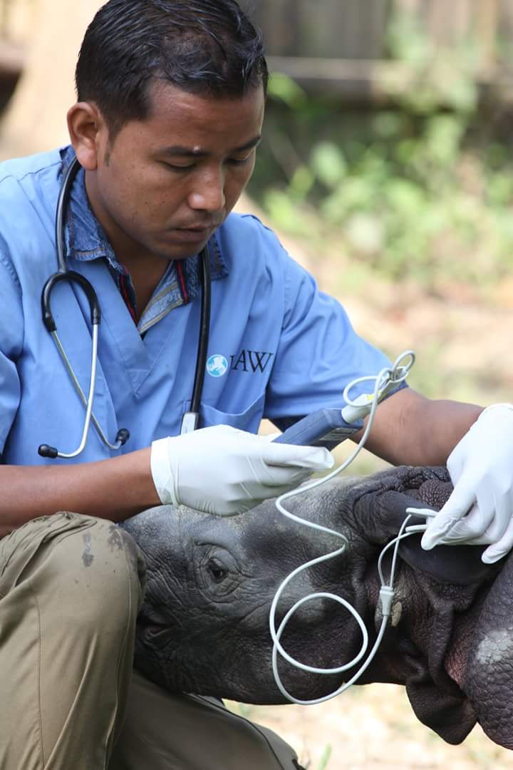 Wildlife Trust of India tweet media