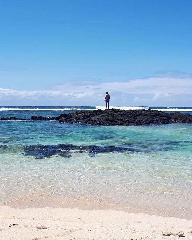 mcxnv's tweet photo. Beautiful blues on the scenic route home from our beach clean up this morning 🐳 https://t.co/Yd84FR2iZd https://t.co/qDmIN8bbyI