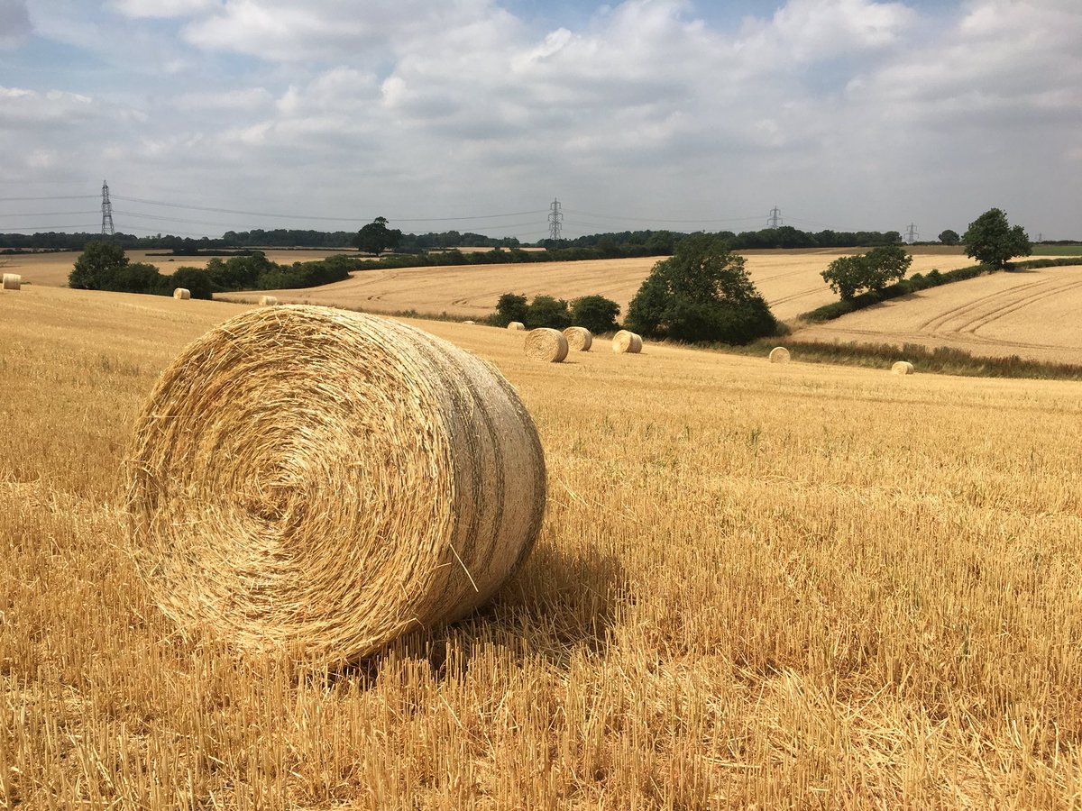 In solitude "we are set free from the many 'false selves' we have built up in order to cope with the expectations others place upon us - and we place upon ourselves. Solitude empowers us to walk away from all human pretense and manipulation" #RichardFoster