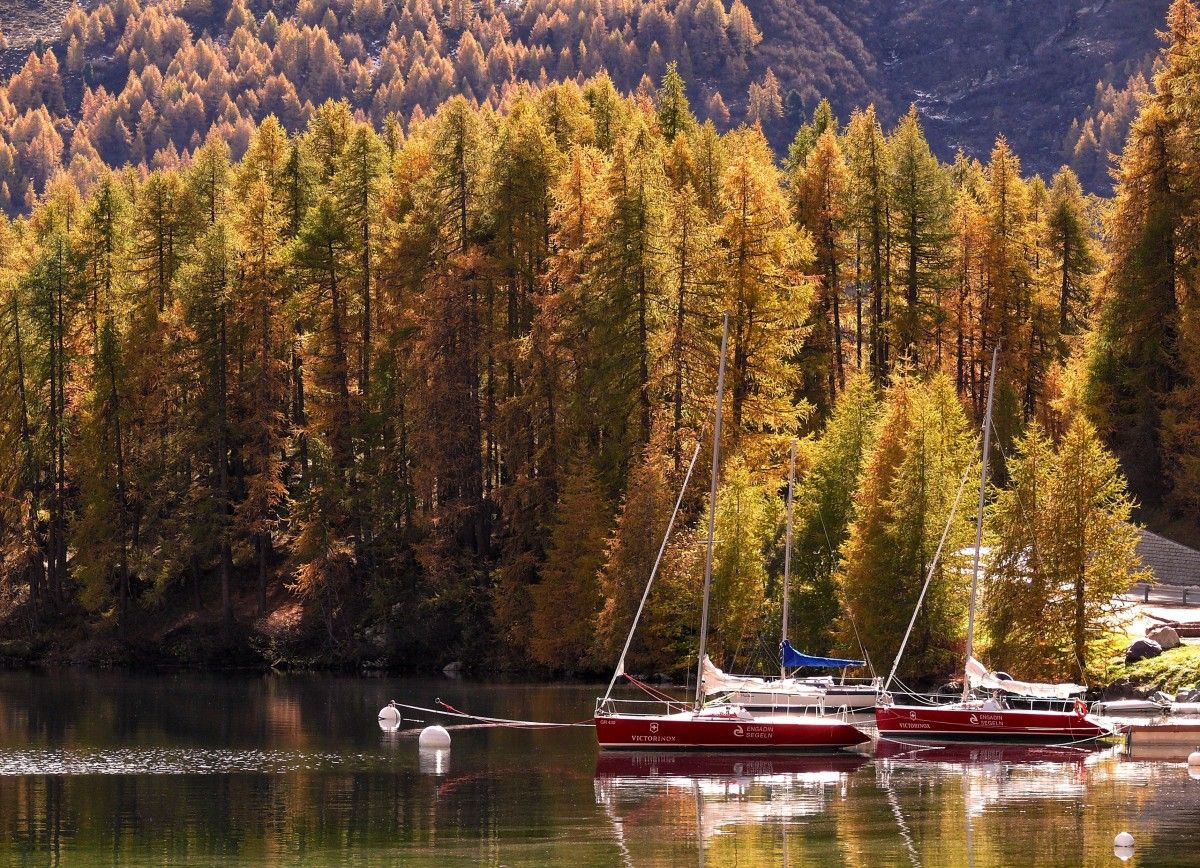 boatsetter's tweet image. FALL is officially here! Grab your sweaters and kick back on the water with our 4 favorite fall boating experiences 🍂

bit.ly/2x5nXN8
#Boatsetter #FallBoating #1stDayofFall