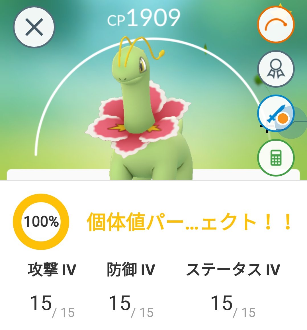 チコリータ色違い Twitter Search