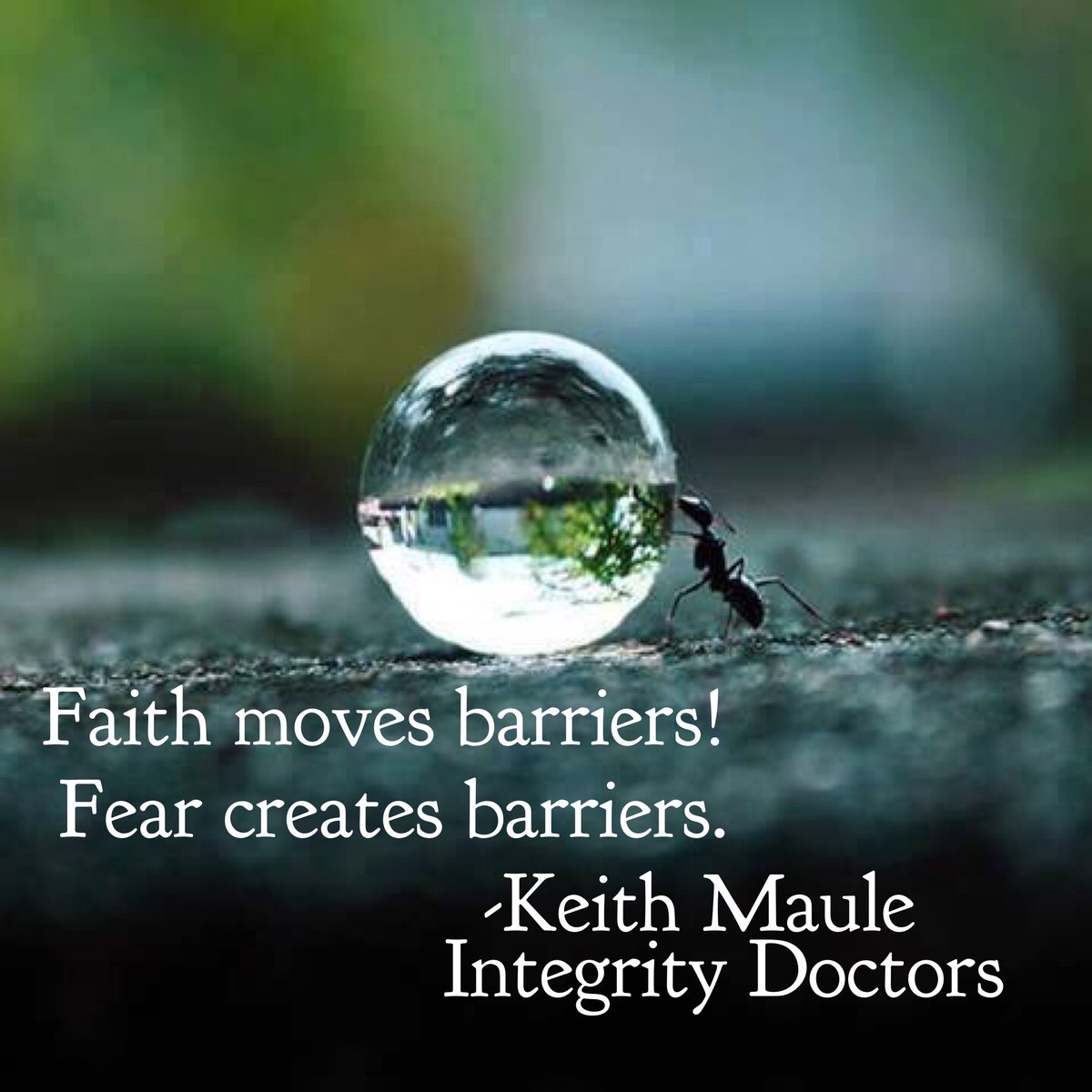 integritydoctor's tweet photo. Choose faith πβ¨π #IntegrityDoctors https://t.co/izGcoxhJPS https://t.co/xFymBu3qLu