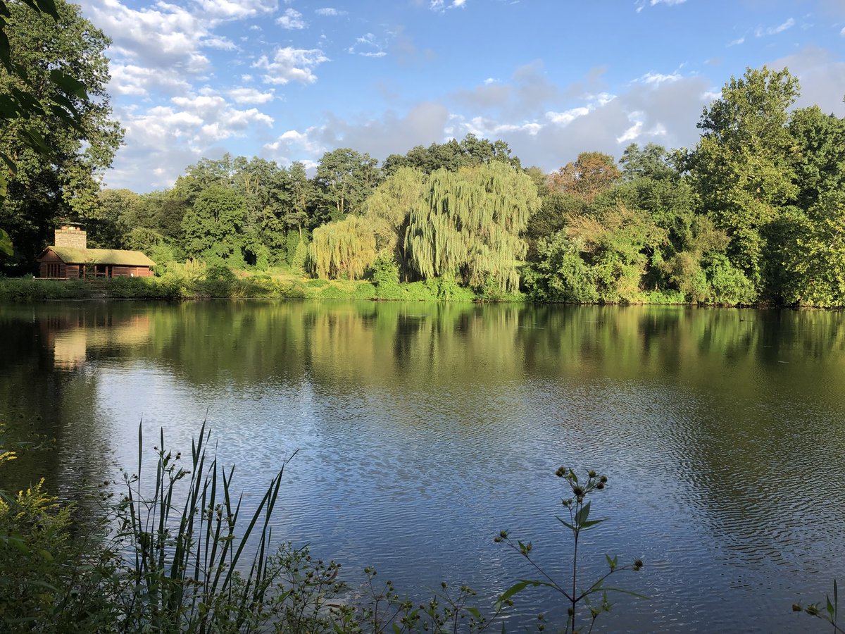 drtinamaster's tweet image. #turning #autumnalequinox #fallrun