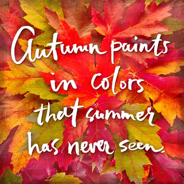 RestoreRentals's tweet photo. Tell us, what's your favorite thing about the fall? https://t.co/TeeubChotQ