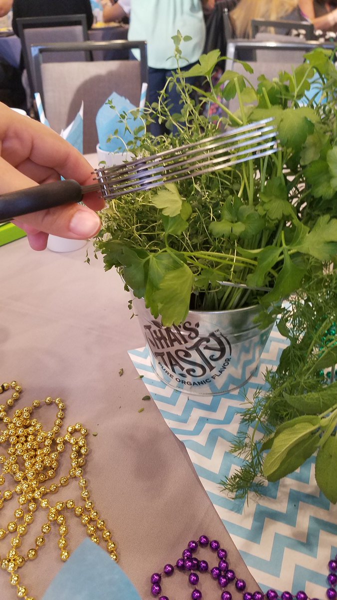 MacKidSBirmingh's tweet photo. Adding some fresh herbs to my scrambled eggs this morning thanks to #thatstasty! #MKMeetUp #MKthatstasty Delicious! #ad https://t.co/5snj755aeG