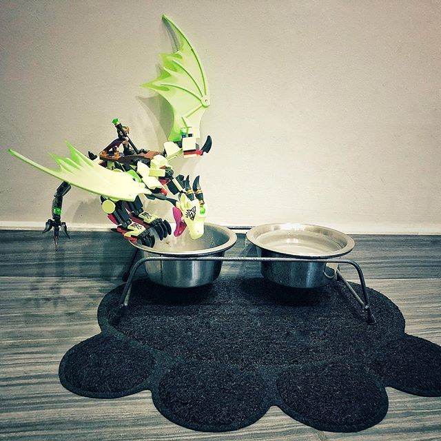 umarts_channel's tweet photo. Ehm... hey draghetto! Quella non è la tua acqua! Se ti becca la gatta Frejya... sarà la tua fine!
#ungiocoprendevitaperlovby #lovby #sharewhatyoulove #dragon #lego #catfood #catfeed #legoelvesdragon #legoelves #green #toys #toy #childhood #iamcrazy #baby… https://t.co/jdU8yvqLkH https://t.co/Fd0ZuWjTyV